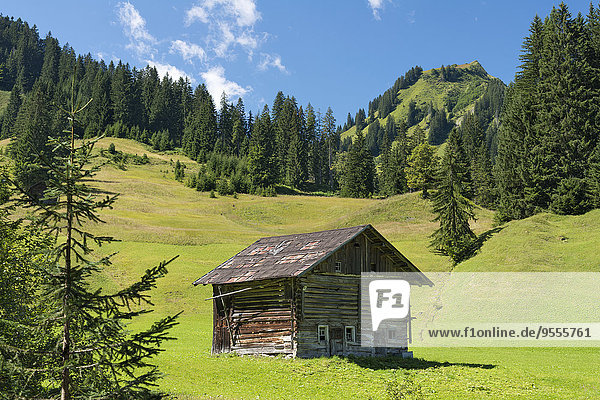 Austria  Vorarlberg  Kleinwalsertal  hut on apline meadow