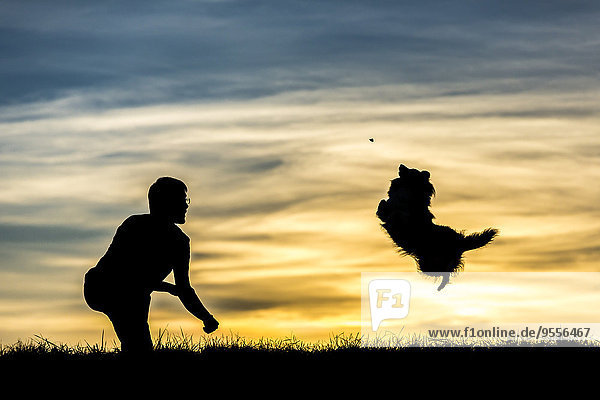 Germany  Man with dog  Silhouettes at sunset