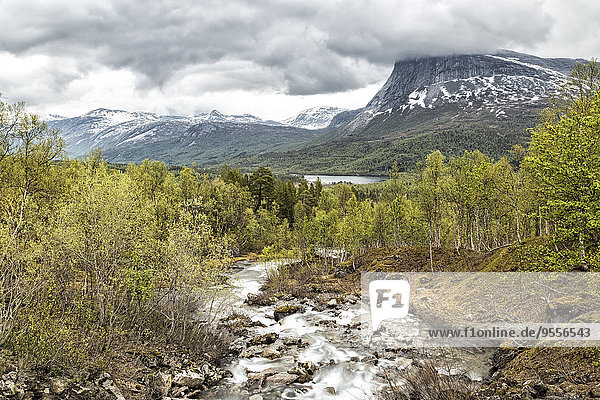 Norwegen  Nordland  Nationalpark Saltfjellet-Svartisen  Fluss