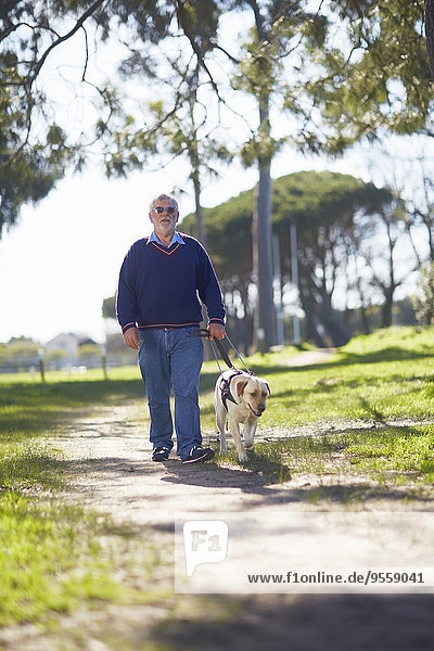 Sehbehinderter Mann,  der mit seinem Blindenhund im Park spazieren geht.