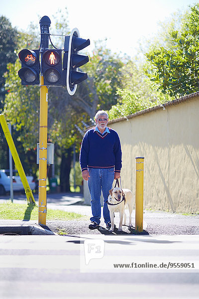 Sehbehinderter Mann wartet mit seinem Blindenhund an der Fußgängerampel