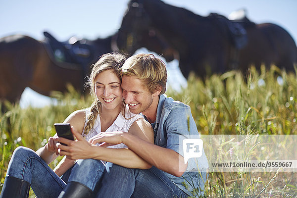 Junges Paar mit Handy im Feld sitzend mit Pferden im Hintergrund