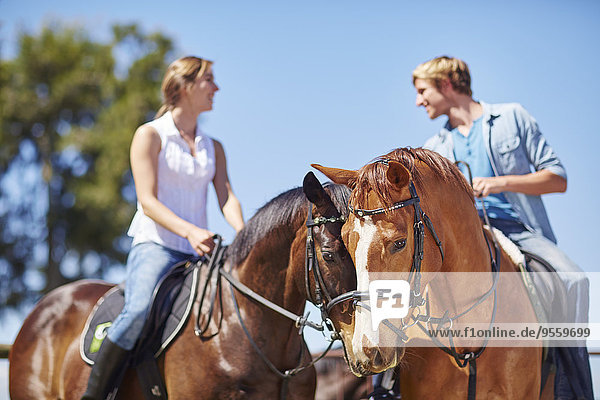 Junges Paar  das auf Pferden reitet
