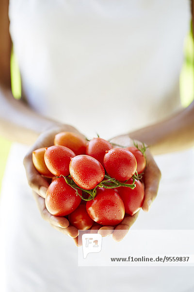 Frauenhände mit Tomaten in der Hand