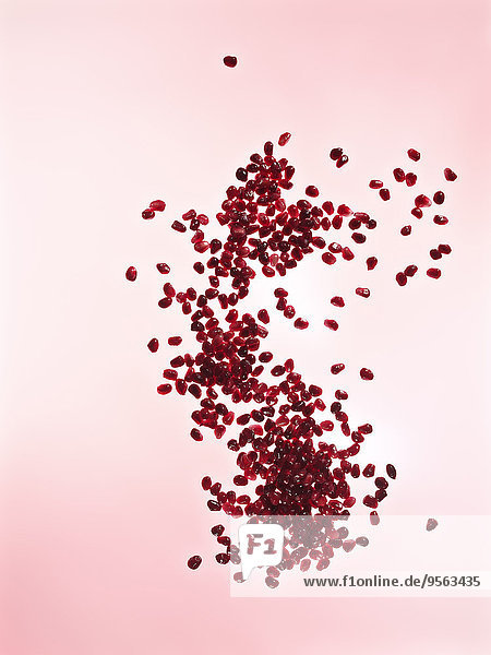 Studioaufnahme Hintergrund pink Samen Granatapfel