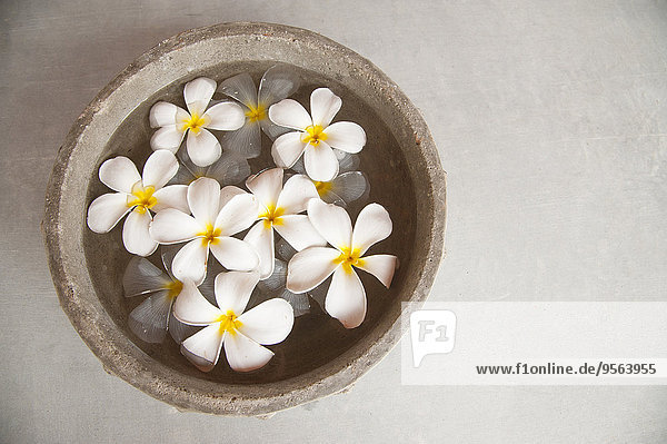 Wasser Stein Blume fließen weiß