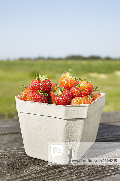 Close-up of freshly picked strawberries in box container on table outdoors  Germany