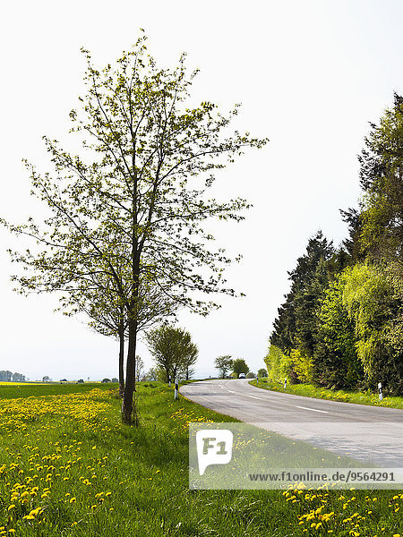 Landschaftlich schön landschaftlich reizvoll Hügel Bundesstraße Ansicht Deutschland Nordrhein-Westfalen