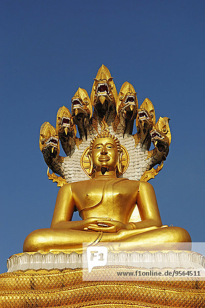 Buddhastatue Thailand