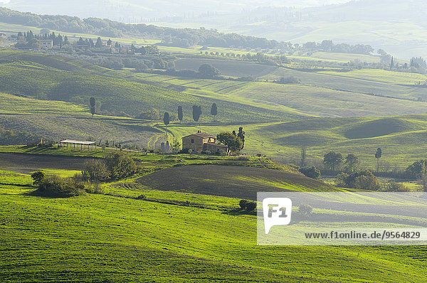 Ländliches Motiv ländliche Motive Italien Pienza Toskana Val d'Orcia Provinz Siena