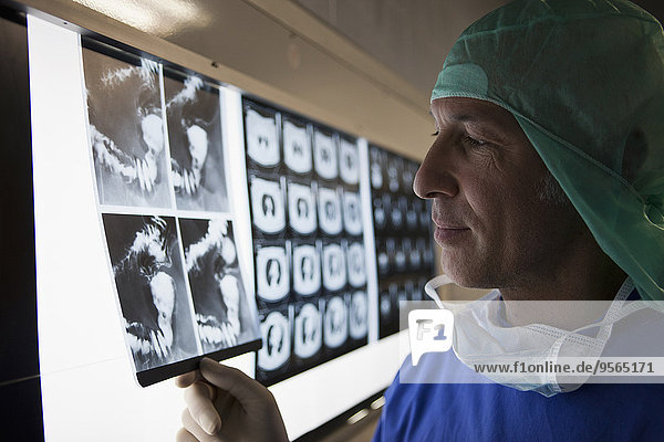 Ein Arzt  der Röntgenstrahlen auf einem Leuchtkasten betrachtet.