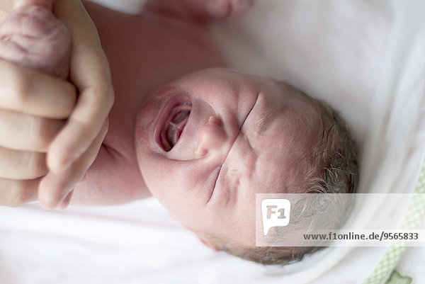 Neugeborenes Baby weint  Draufsicht