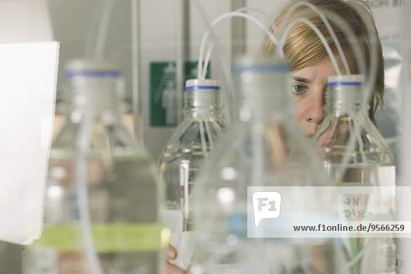 Labortechniker beim Betrachten von Flaschen im Labor