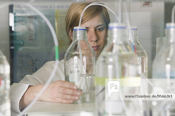 Labortechniker beim Betrachten von Flaschen im Labor