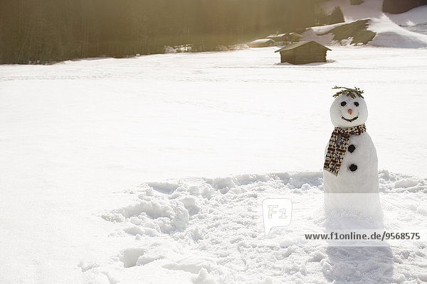 Snowman in sunny field