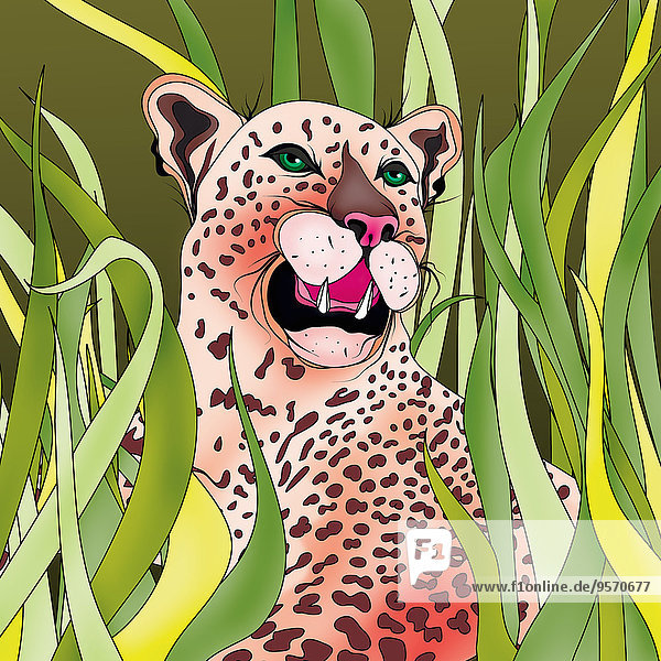Pinkfarbener Leopard liegt in hohem Gras