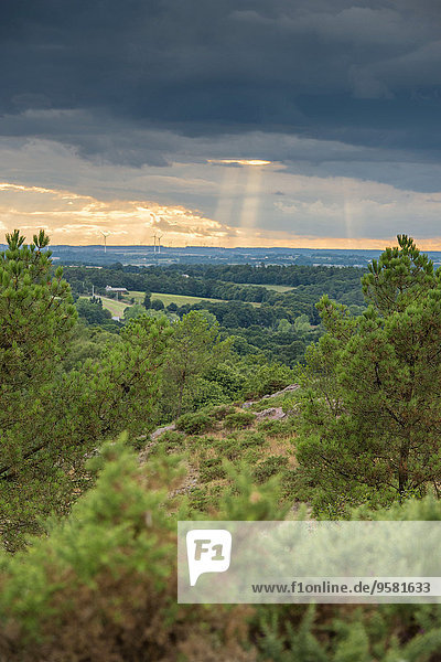 Laubwald Landschaft Wald Mythologie August Fee Spiegel Teich