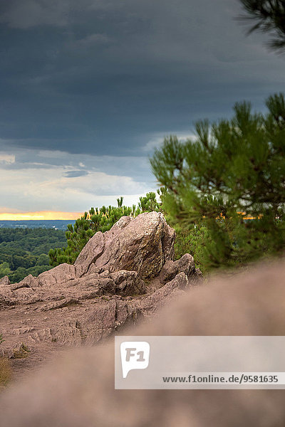 Laubwald Landschaft Wald Mythologie August Fee Spiegel Teich