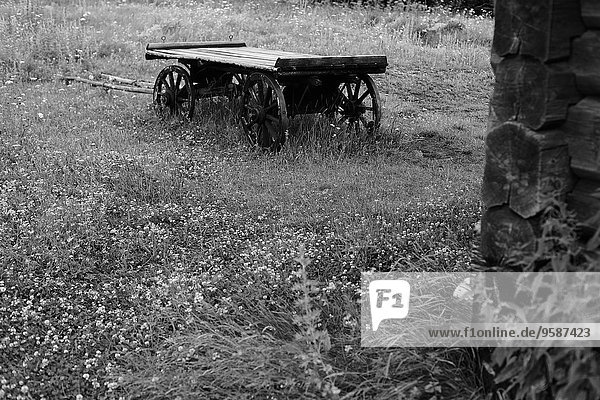 Wooden wagon in rural field