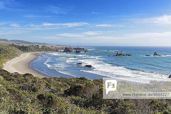 USA  Kalifornien  Big Sur  Pazifikküste  National Scenic Byway  Strand