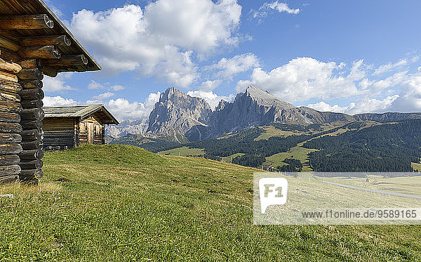 Italien  Südtirol  Dolomiten  Seiser Alm und Langkofel Gruppe