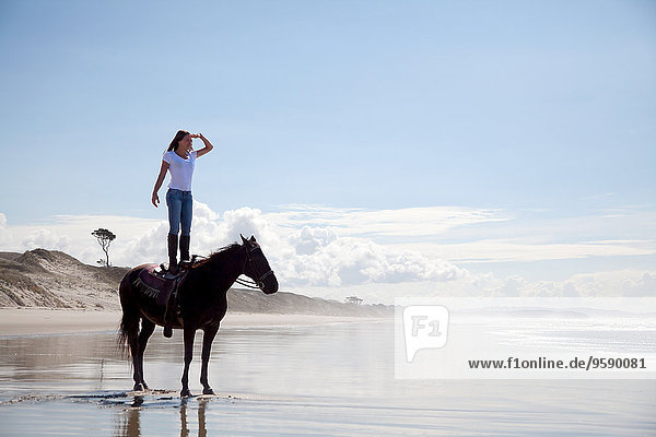 Reiter auf Pferd stehend  Pakiri Beach  Auckland  Neuseeland