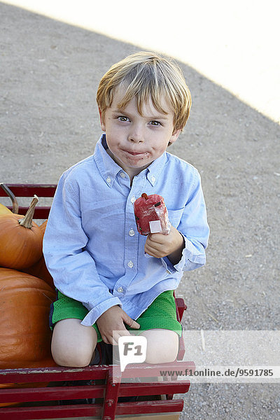 Porträt eines lächelnden Jungen  der im Kürbiswagen sitzt und Eis am Stiel isst.