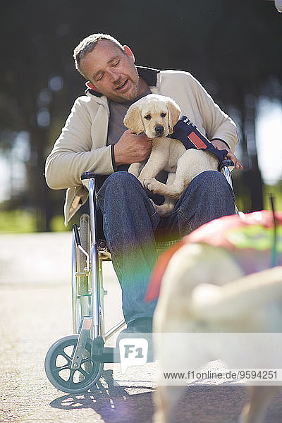 Mann im Rollstuhl mit Hundewelpe im Park