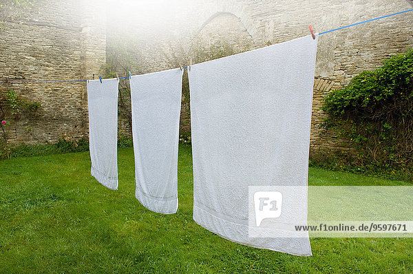 Drei weiße Handtücher an der Wäscheleine im ummauerten Garten