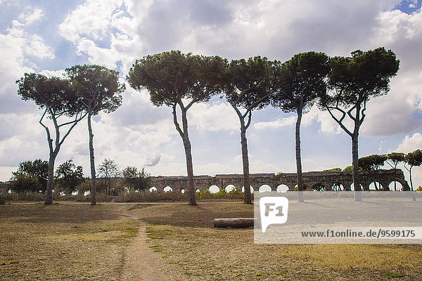 Blick auf das alte Aquädukt  Parco degli Acquedotti  Rom  Italien