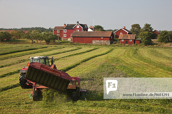 Traktor Gras