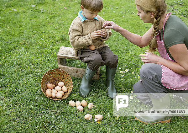 Mutter und Sohn überprüfen frisch gesammelte Eier