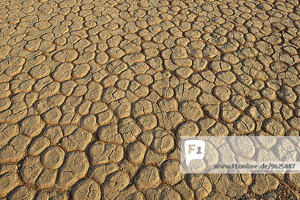 Afrika  Namibia  Sossusvlei  Dead Vlei  gebrochene Oberfläche einer Tonpfanne