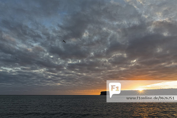 Pazifischer Ozean  Galapagosinseln  Sonnenaufgang über der Insel Plaza Sur