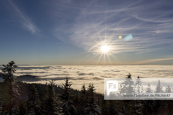 Deutschland  Baden-Württemberg  Schwarzwald  Blick über die Wolkendecke gegen die Sonne