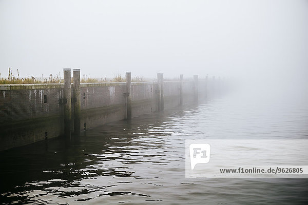 Deutschland  Hamburg  Hafen im Nebel