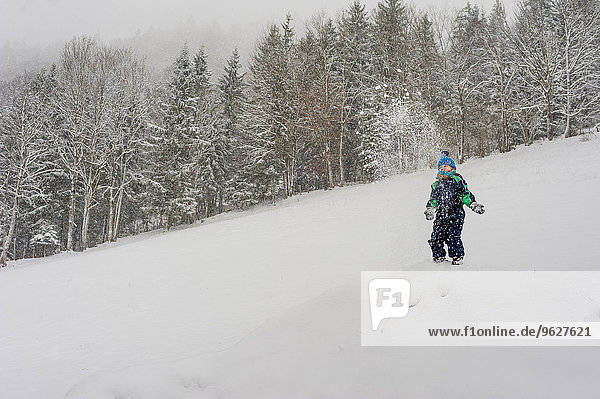 Germany  Bavaria  Berchtesgadener Land  boy in winter landscape