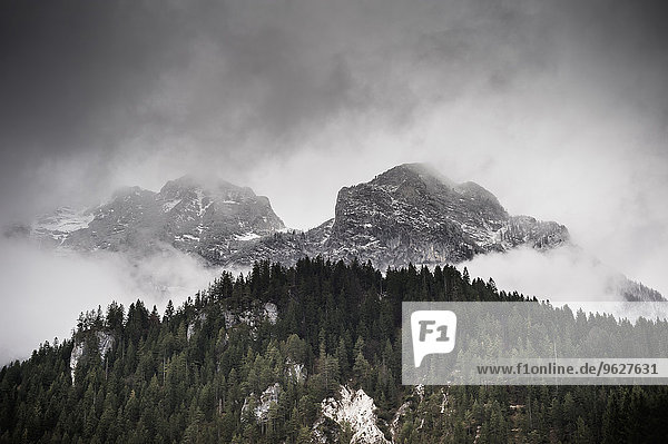 Deutschland  Bayern  Ramsau  Wald und Berge in Wolken