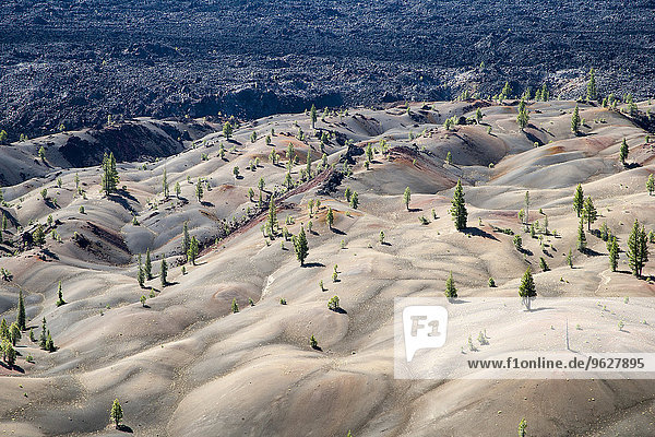 USA  Kalifornien  Lassen Volcanic National Park  Cinder Cone Nature Trail