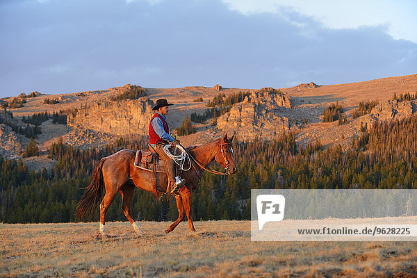 USA  Wyoming  Cowboyreiten im Abendlicht
