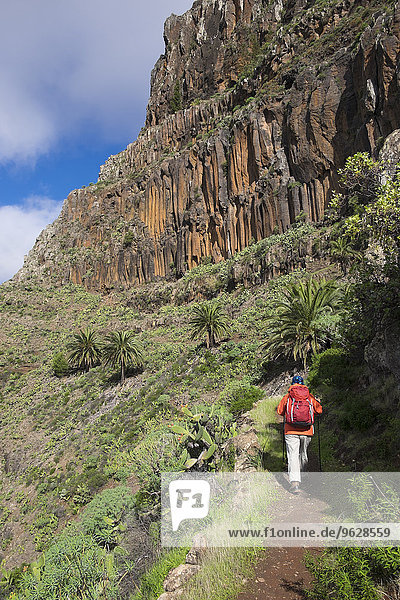 Spain  Canary Islands  La Gomera  Valle Gran Rey  trail and hiker in Lomo del Carreton near Arure