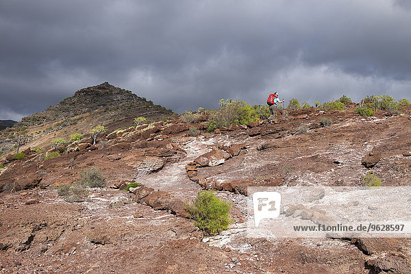 Canary Islands  La Gomera  Alajero  woman walking on hiking trail Sendero Quise