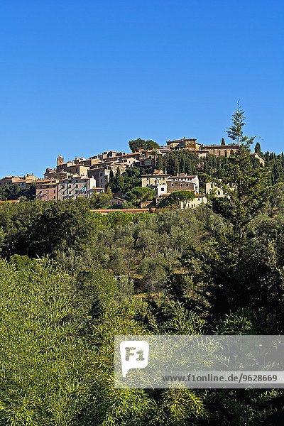 Italien  Toskana  Castagneto Carducci  Blick auf das Dorf