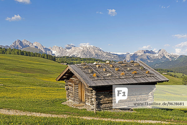 Italy  South Tyrol  Seiser Alm  Alpine hut in foreground