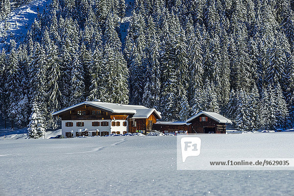 Germany  Bavaria  Stillachtal  house in winter landscape