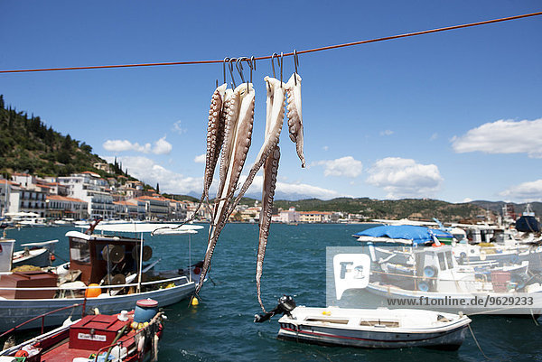 Griechenland  Gythio  Tintenfisch hängend zum Trocknen im Hafen
