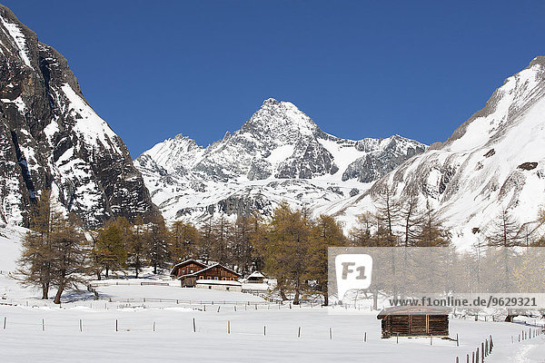 Österreich  Osttirol  Kals am Großglockner  Hohe Tauern  Alphütte und Großglockner