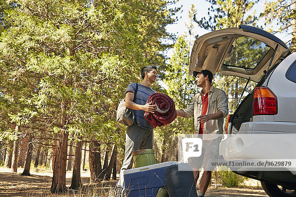 Two young male campers unpacking car boot in forest  Los Angeles  California  USA