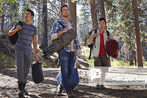 Three young men in forest with camping equipment  Los Angeles  California  USA