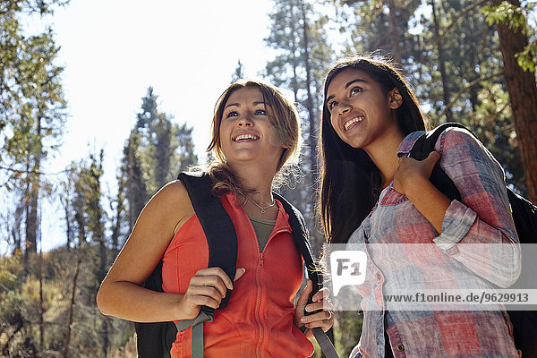 Zwei junge erwachsene Frauen beim Wandern im Wald  Los Angeles  Kalifornien  USA